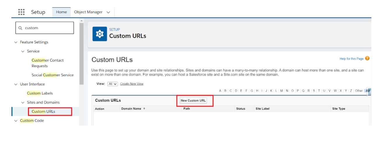 custom domain in salesforce setup