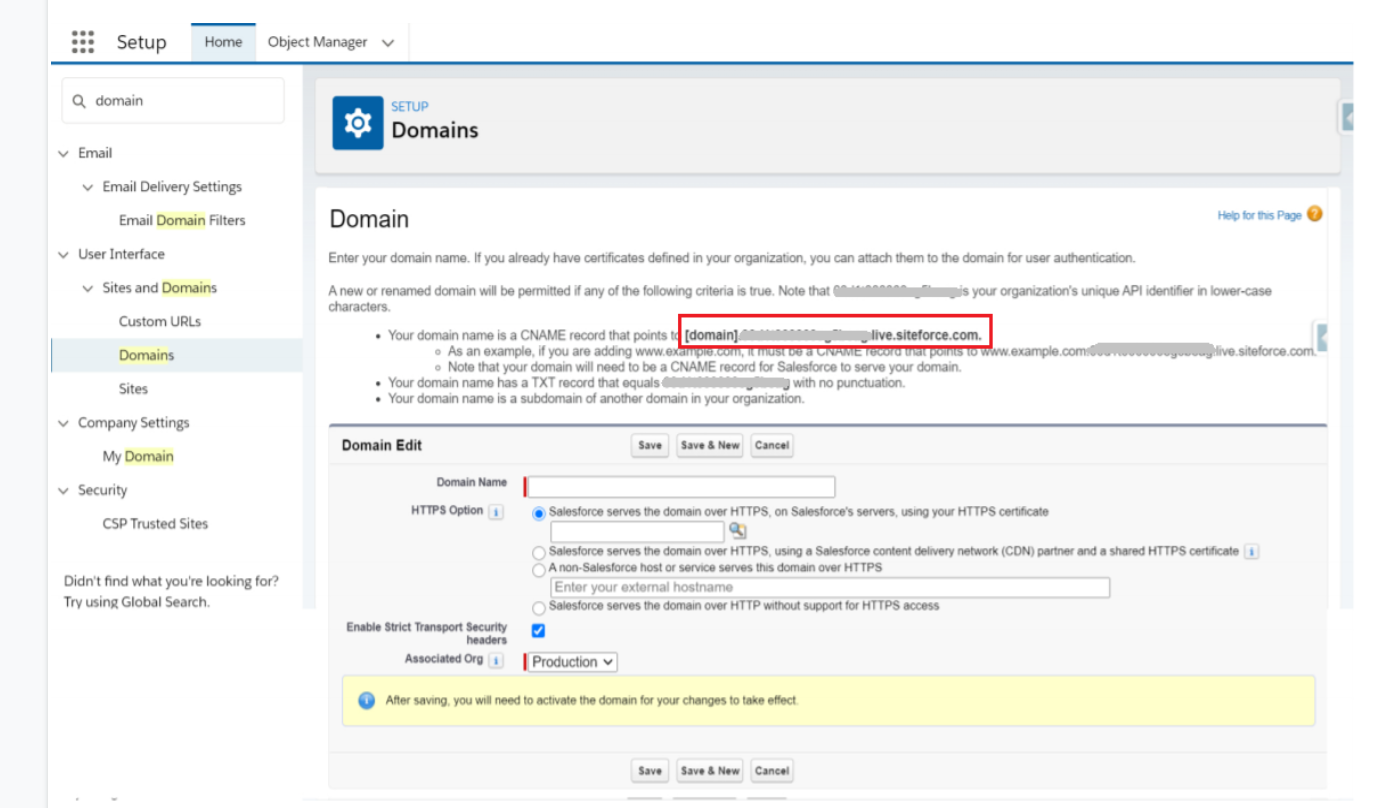 DNA setting in custom domain