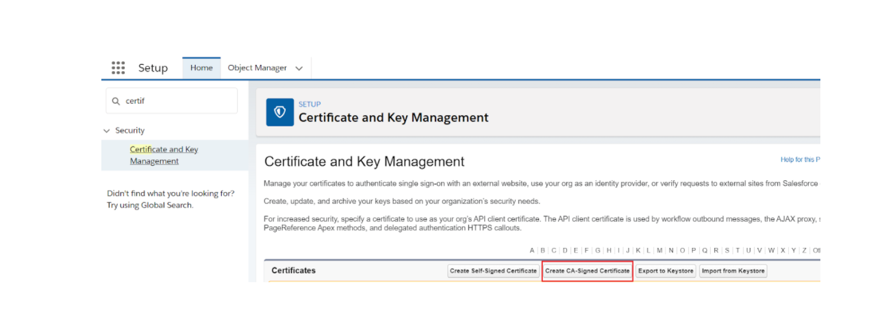 custom domain setup process