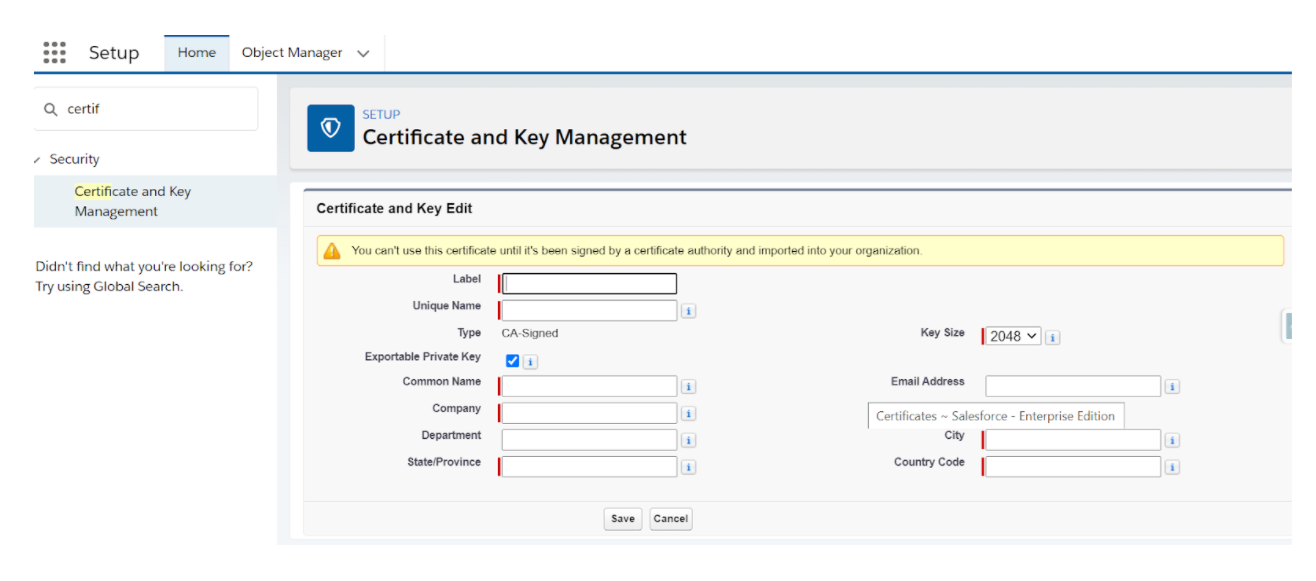 custom domain changes