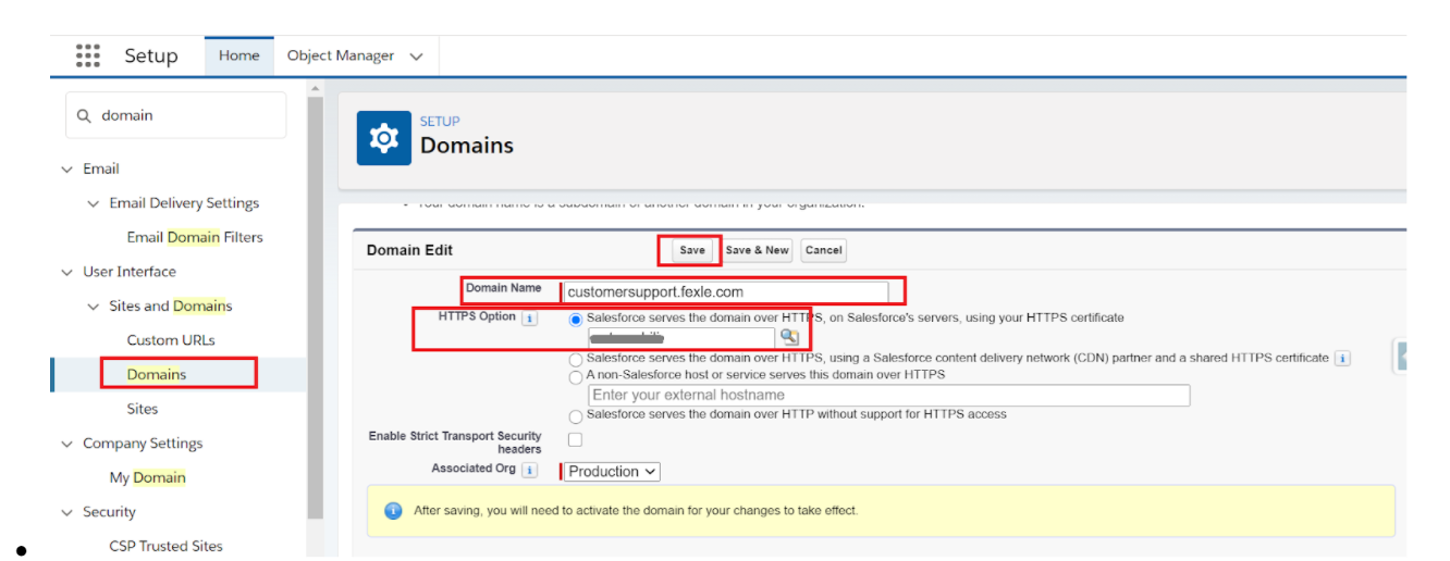 custom domain setup steps